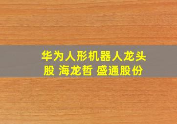 华为人形机器人龙头股 海龙哲 盛通股份